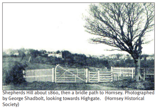 Shepherds hill in 1860
