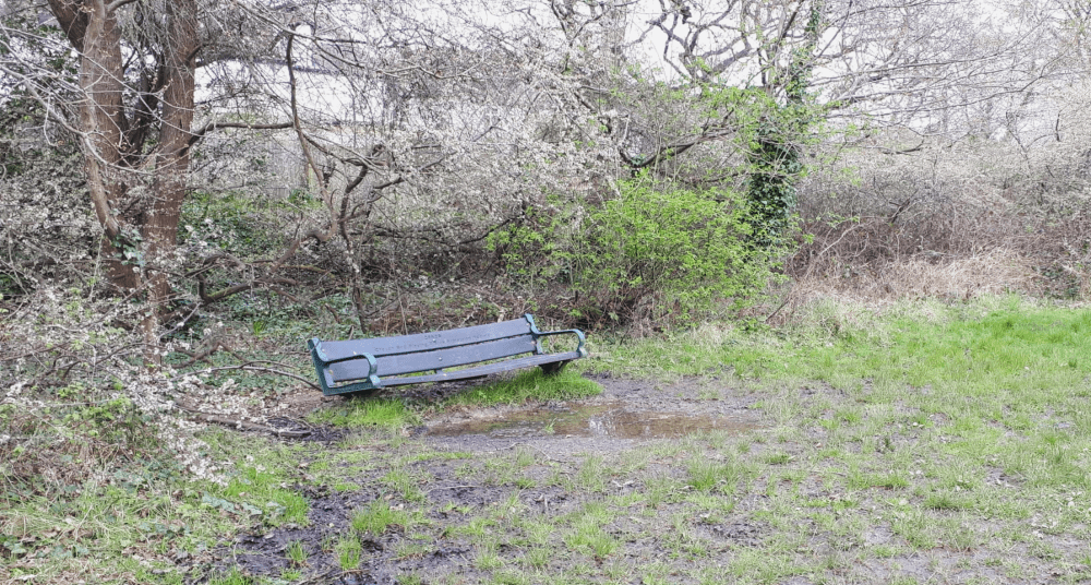 CREOS bench