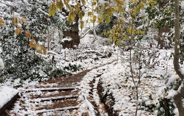 path steps in snow