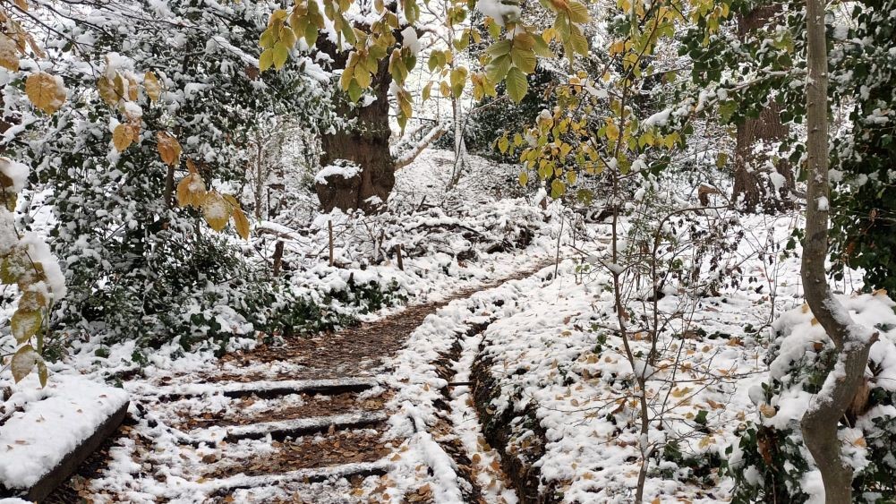 path steps in snow
